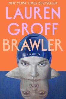 Brawler : stories / Lauren Groff