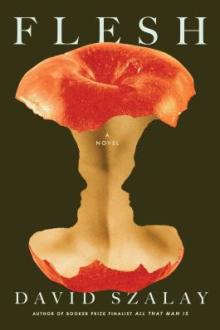 Flesh : a novel / David Szalay