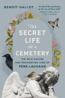 The secret life of a cemetery : the wild nature and enchanting lore of Pére-Lachaise / Benoît Gallot ; translation by Arielle Aaronson ; with original artwork by Daniel Casanave