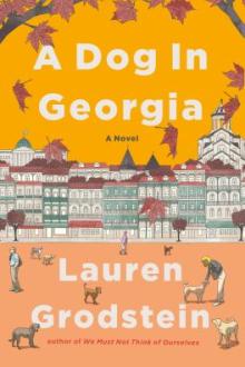 A dog in Georgia : a novel / Lauren Grodstein