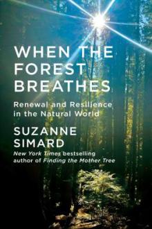 When the forest breathes : renewal and resilience in the natural world / Suzanne Simard