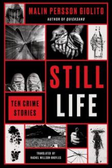 Still life : ten crime stories / Malin Persson Giolito ; translated from the Swedish by Rachel Willson-Broyles