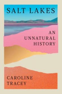 Salt lakes : an unnatural history / Caroline Tracey