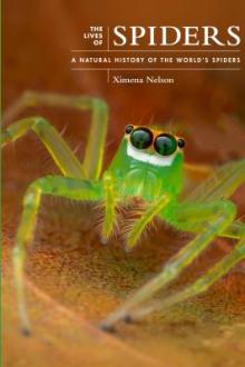 The lives of spiders : a natural history of the world&#039;s spiders / Ximena Nelson