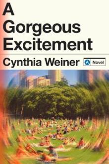 A gorgeous excitement : a novel / Cynthia Weiner