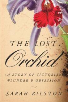 The lost orchid : a story of Victorian plunder and obsession / Sarah Bilston