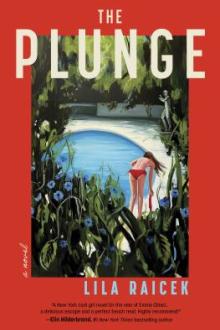 The plunge : a novel / Lila Raicek