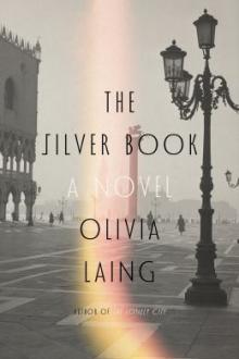 The silver book : a novel / Olivia Laing