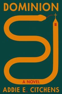 Dominion : a novel / Addie E. Citchens