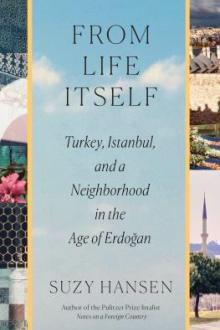 From life itself : Turkey, Istanbul, and a neighborhood in the age of Erdoğan / Suzy Hansen