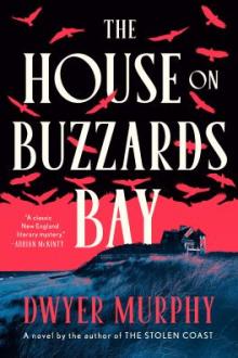 The house on Buzzards Bay / Dwyer Murphy