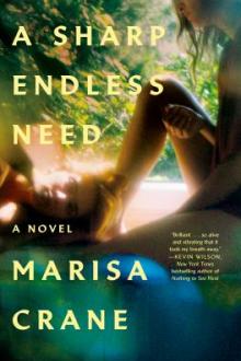 A sharp endless need : a novel / Marisa Crane