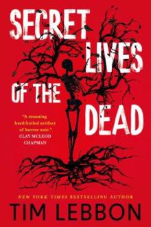 Secret lives of the dead / Tim Lebbon