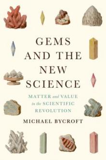 Gems and the new science : matter and value in the Scientific Revolution / Michael Bycroft