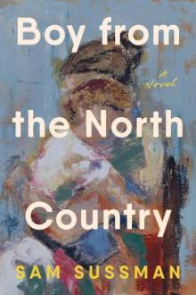 Boy from the North Country : a novel / Sam Sussman