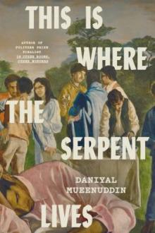 This is where the serpent lives / Daniyal Mueenuddin