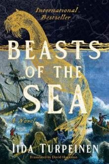 Beasts of the sea : a novel / Iida Turpeinen ; translated by David Hackston