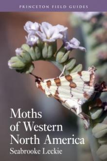 Moths of Western North America / Seabrooke Leckie