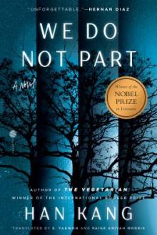 We do not part : a novel / Han Kang ; translated by e. yaewon and Paige Aniyah Morris