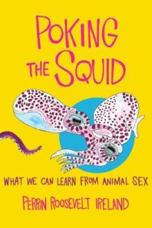 Poking the squid : what we can learn from animal sex / by Perrin Roosevelt Ireland