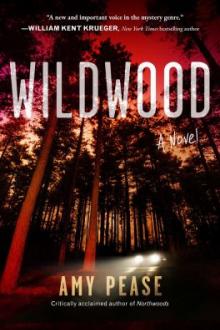 Wildwood : a novel / Amy Pease