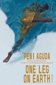 One leg on earth : a novel / 'Pemi Aguda