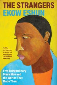The strangers : five extraordinary Black men and the worlds that made them / Ekow Eshun