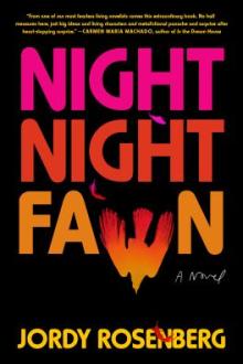 Night night fawn : a novel / by Jordy Rosenberg