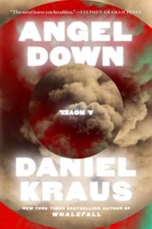 Angel down / Daniel Kraus