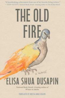 The old fire : a novel / Elisa Shua Dusapin ; translated by Aneesa Abbas Higgins