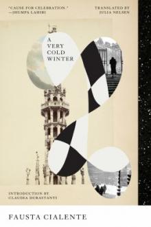 A very cold winter / Fausta Cialente ; translated from the Italian by Julia Nelsen ; introduction by Claudia Durastanti