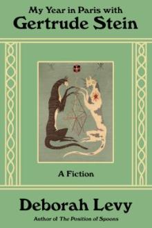 My year in Paris with Gertrude Stein : a fiction / Deborah Levy