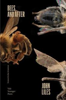 Bees, and after / John Liles ; foreword by Rae Armantrout