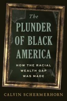 The plunder of black America : how the racial wealth gap was made / Calvin Schermerhorn