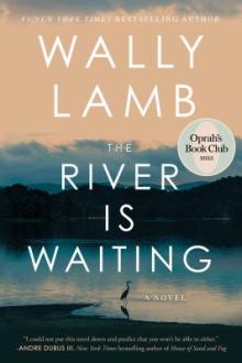 The river is waiting : a novel / Wally Lamb