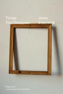 Things that disappear / Jenny Erpenbeck ; translated from the German by Kurt Beals