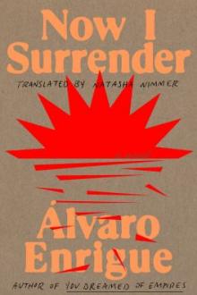 Now I surrender : a novel / Álvaro Enrigue ; translated by Natasha Wimmer