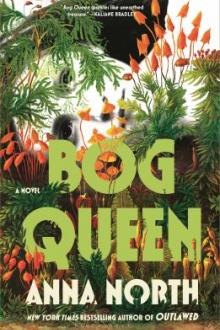 Bog queen : a novel / Anna North