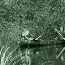 Man paddling a canoe with a dead moose in the front.