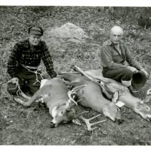 A deer kill at the Stillwater Club.